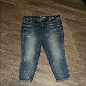 Terra & Sky Plus Sz 22W Skinny Jeans Great Condition